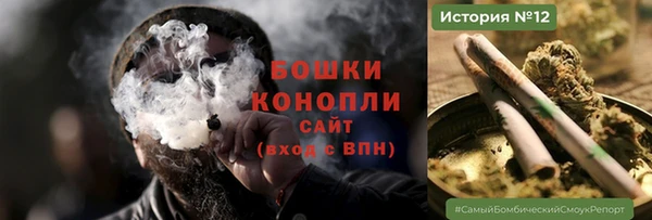 крисы Бугульма