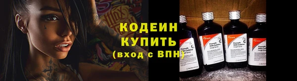 крисы Бугульма