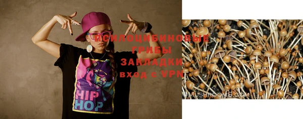 марки lsd Бородино